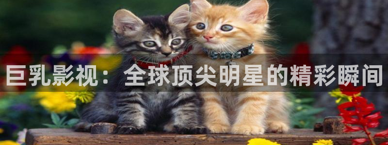 yy6090免费高清电视