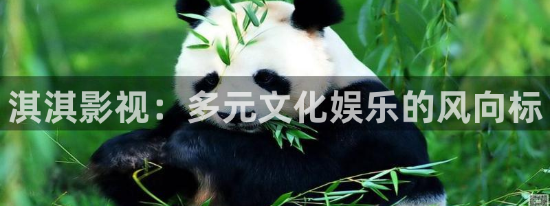 青苹果影院yy6090