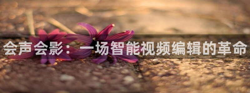 青苹果电影院yy6090